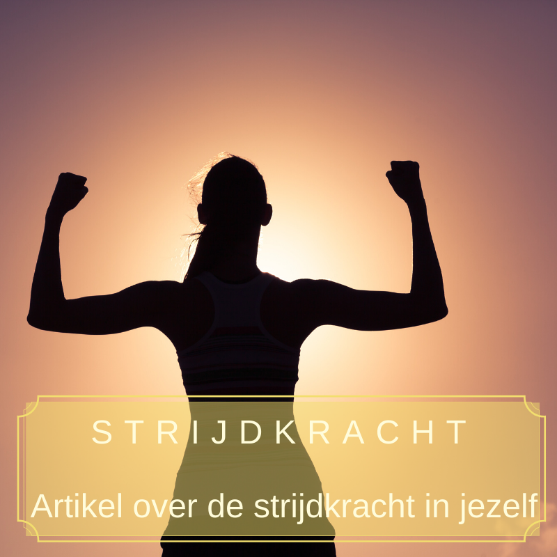 Strijdkracht